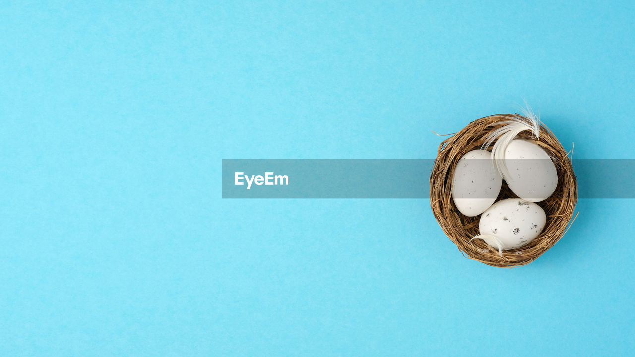 Easter eggs, feathers in a nest on a blue background. minimal concept, top view. copy space.