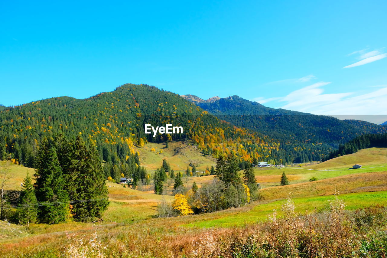 SCENIC VIEW OF FIELD AGAINST BLUE SKY