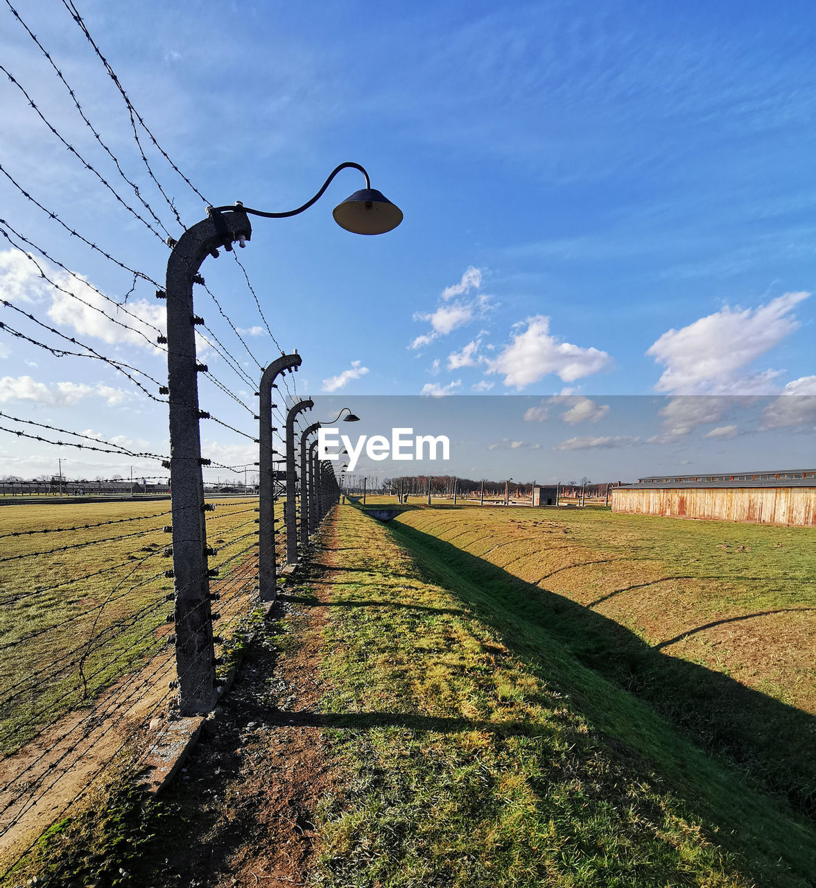 Fences at auschwitz