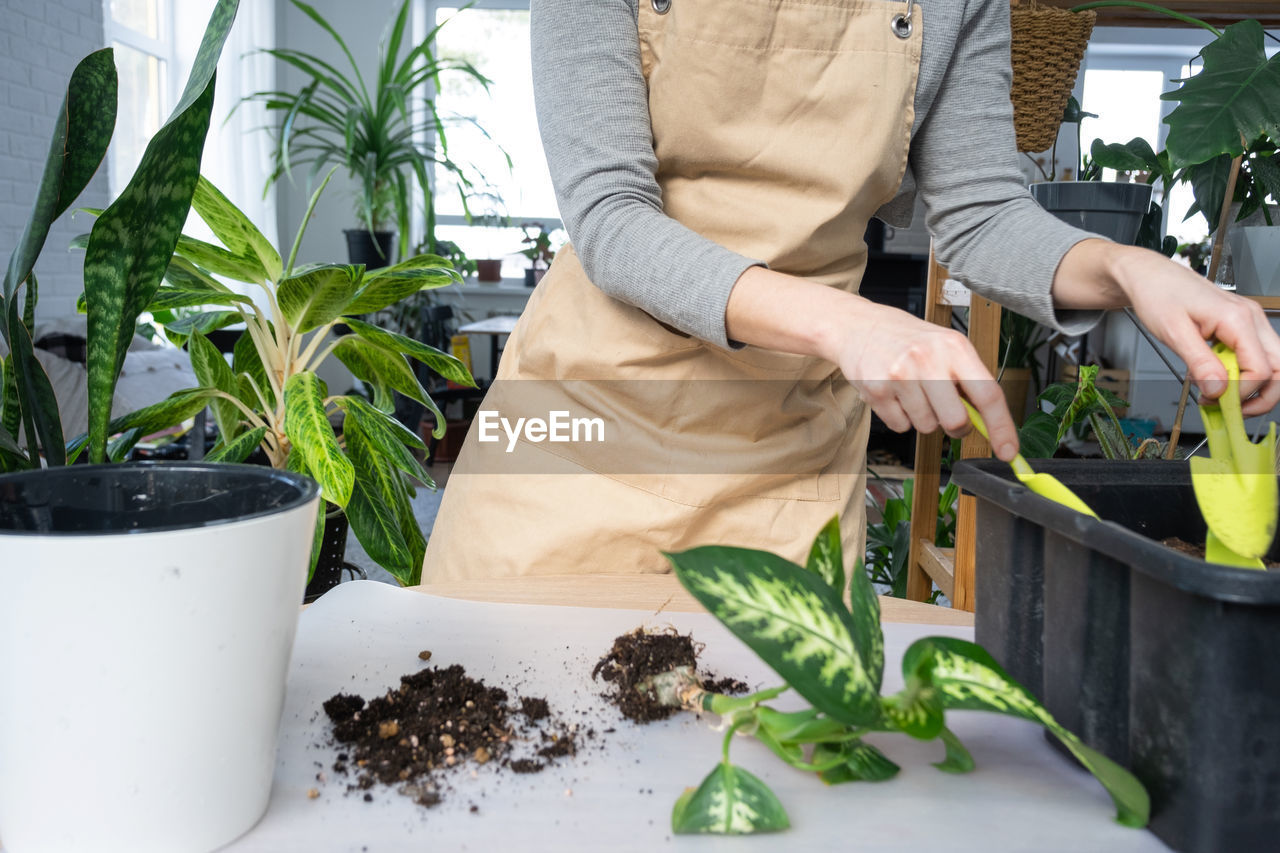 midsection of man gardening at home