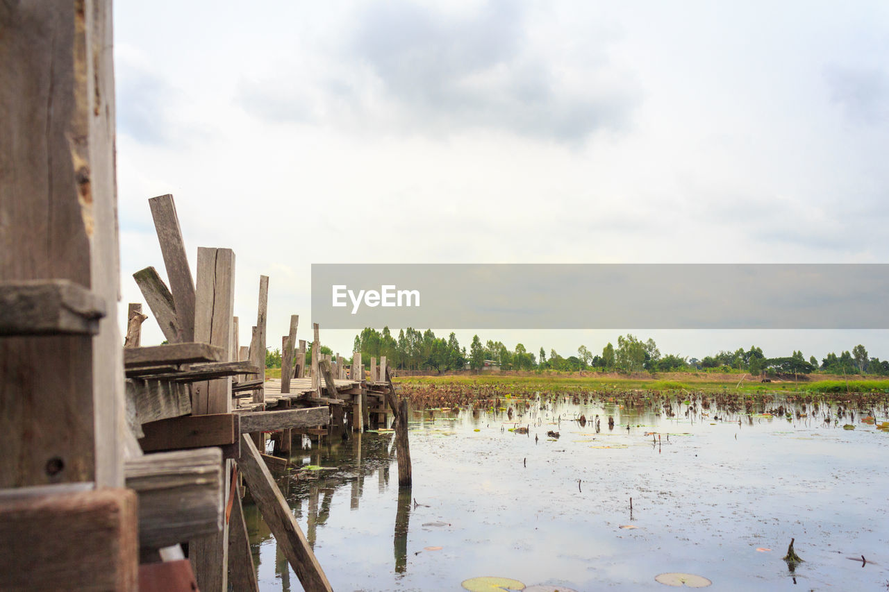 WOODEN POSTS ON BEACH