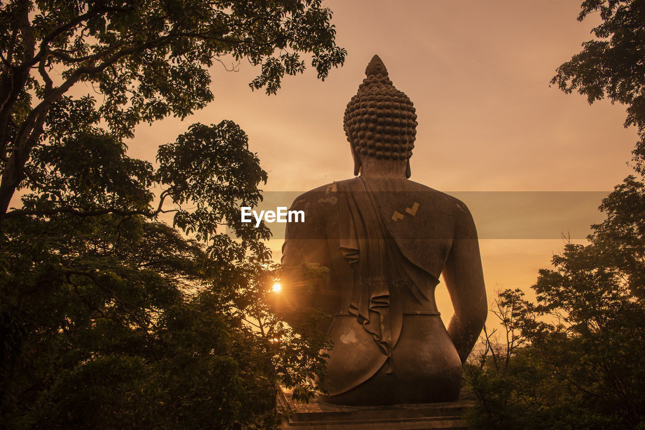 rear view of woman standing against trees during sunset