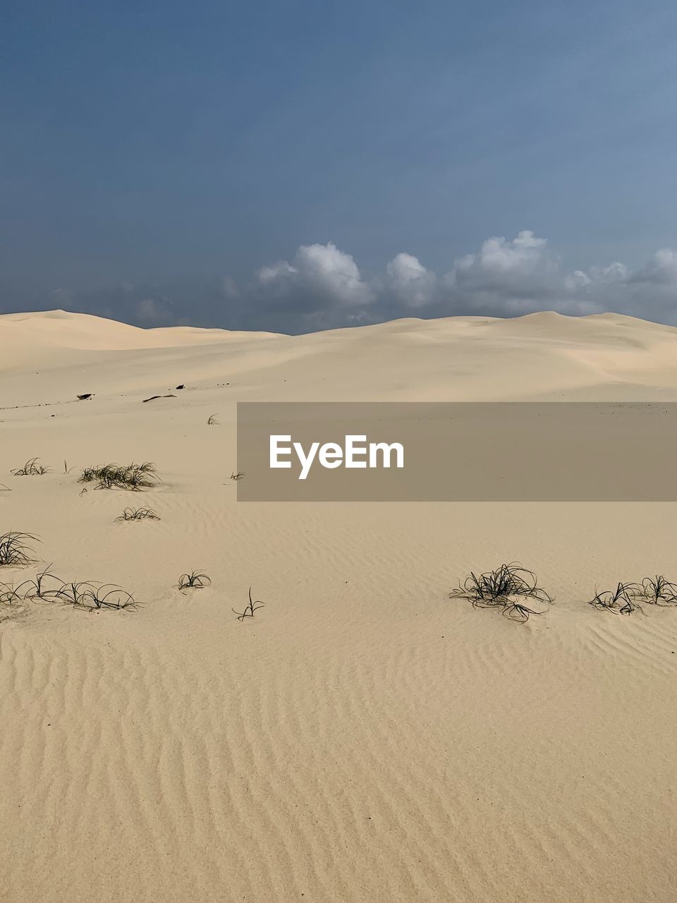 Scenic view of desert against sky