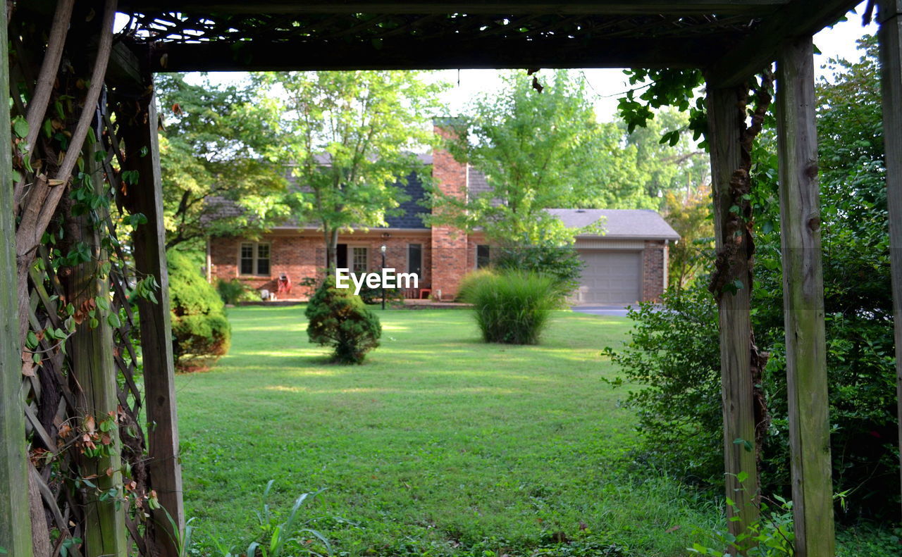 HOUSE AGAINST TREES