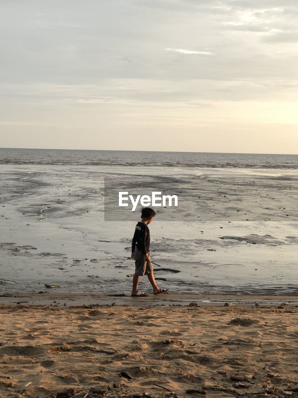 Rear view of man standing on beach against sky