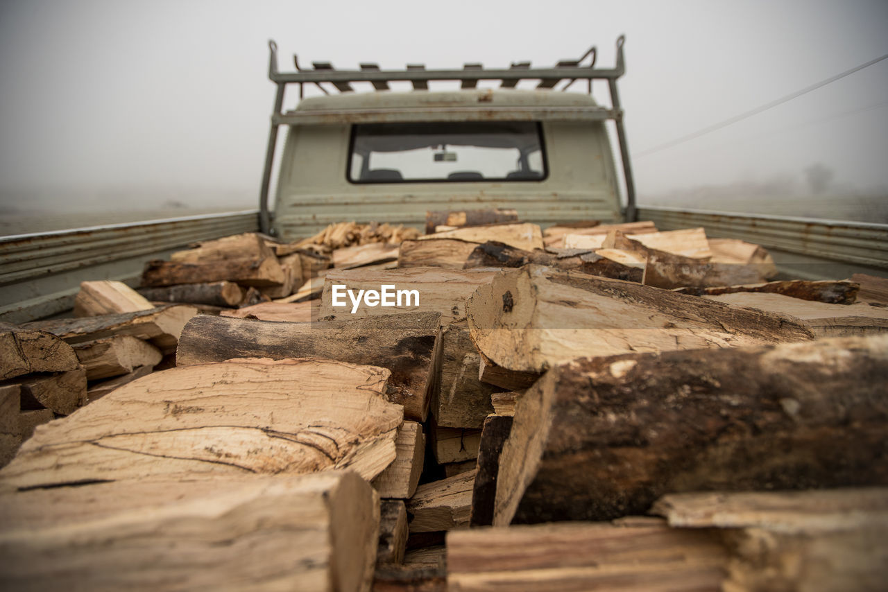 LOW ANGLE VIEW OF LOGS ON FIELD