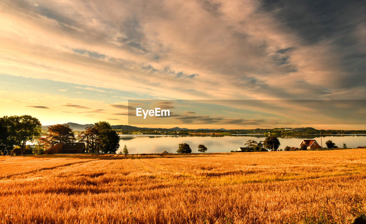 landscape, sky, environment, land, plant, field, cloud, agriculture, rural scene, morning, horizon, scenics - nature, nature, beauty in nature, crop, cereal plant, tranquility, tree, farm, tranquil scene, no people, dawn, sunrise, growth, sunlight, summer, idyllic, dramatic sky, grass, barley, outdoors, plain, food, cloudscape, sun, hay, orange color, non-urban scene, rural area, twilight, gold, prairie, food and drink