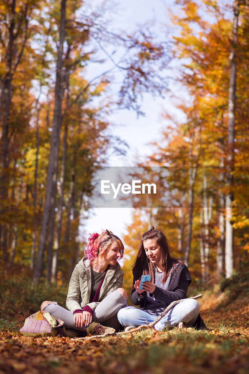 Friends talking while sitting on field against trees in forest during autumn