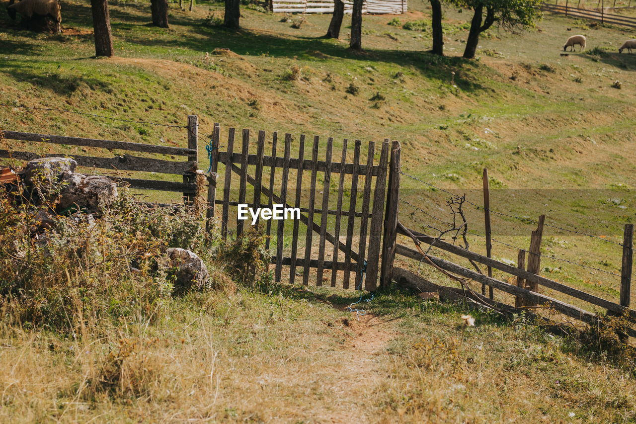 FENCE ON FIELD