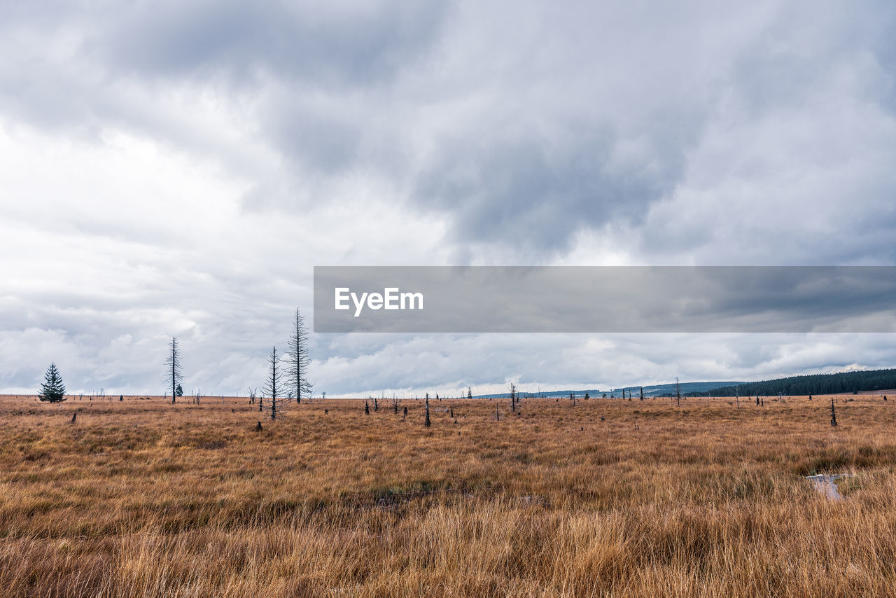 Landscape in the high fens nature park in the eifel, belgium.