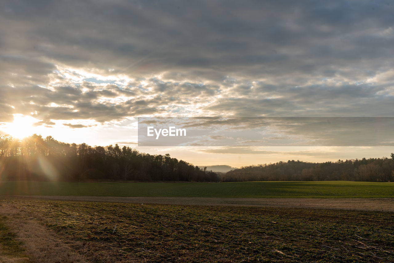 sky, environment, nature, morning, cloud, landscape, sunlight, horizon, plant, beauty in nature, land, scenics - nature, field, tree, sunbeam, tranquility, sun, sunrise, dawn, rural scene, tranquil scene, no people, grass, rural area, lens flare, plain, agriculture, hill, outdoors, idyllic, back lit, prairie, non-urban scene, dramatic sky, forest, summer