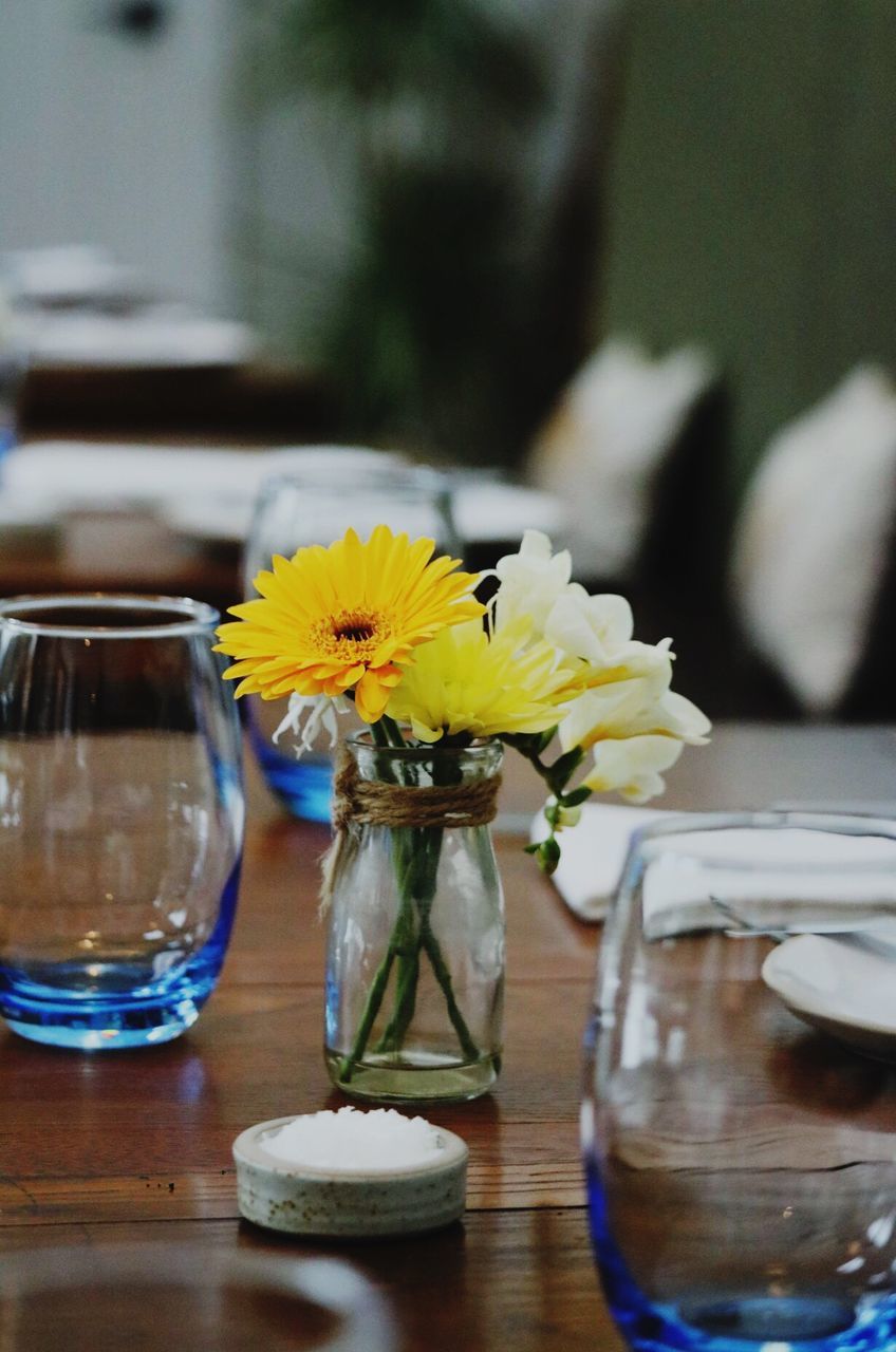 CLOSE-UP OF FLOWERS IN VASE