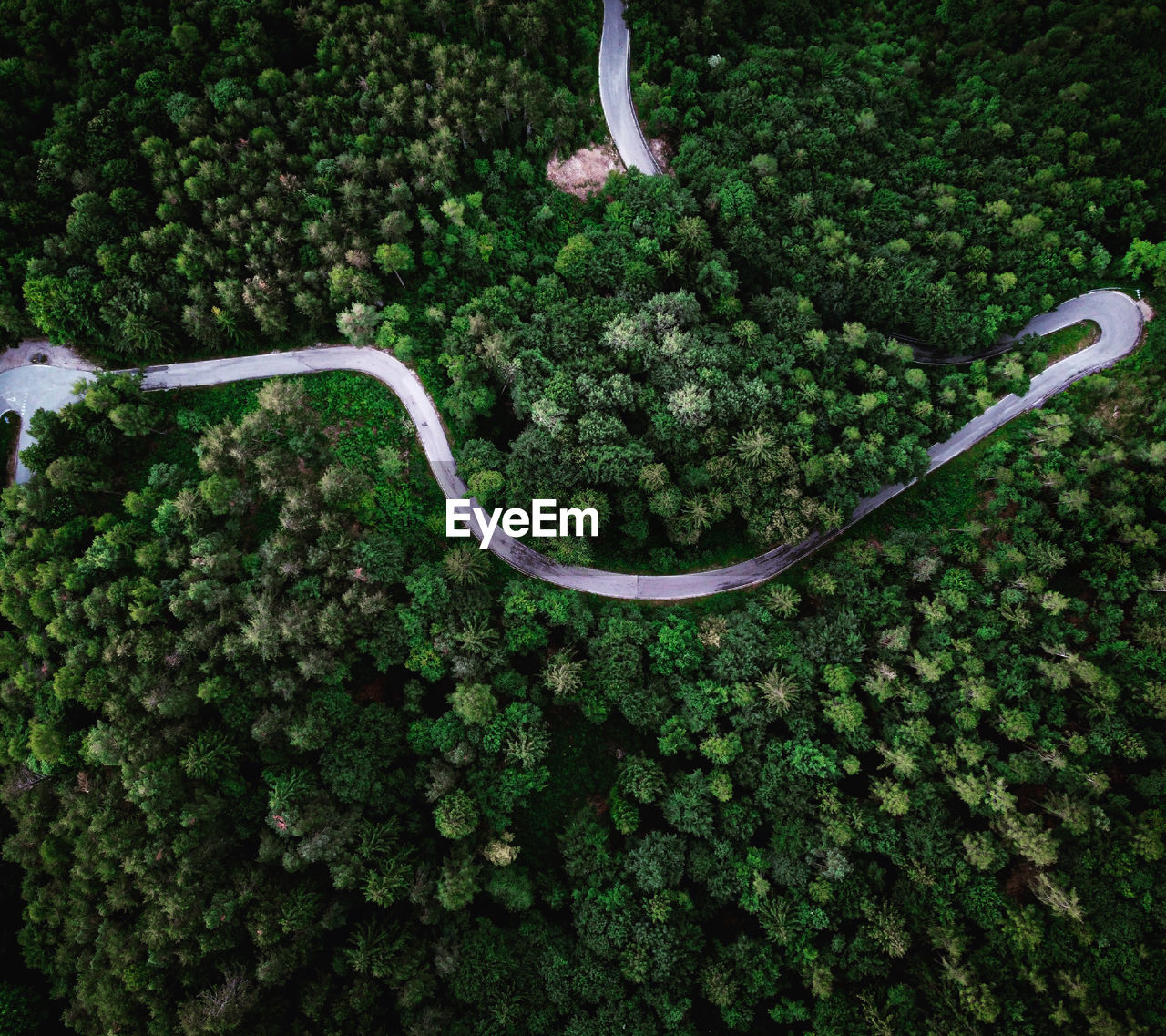 Flight with drone above a forest in trentino 