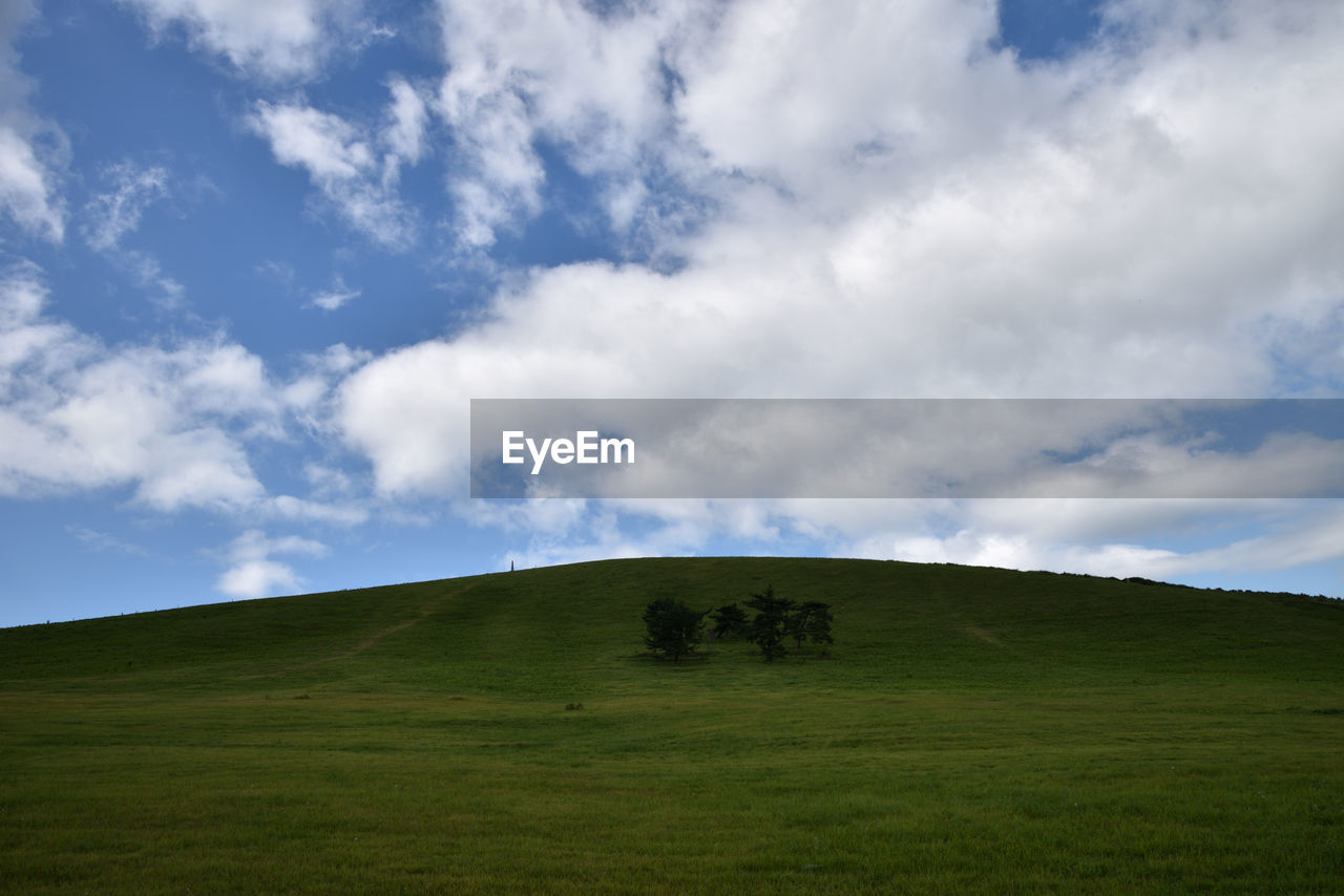 Scenic view of grassy field against sky