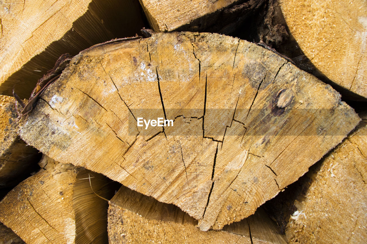 High angle view of tree stump in forest, firewood background and texture