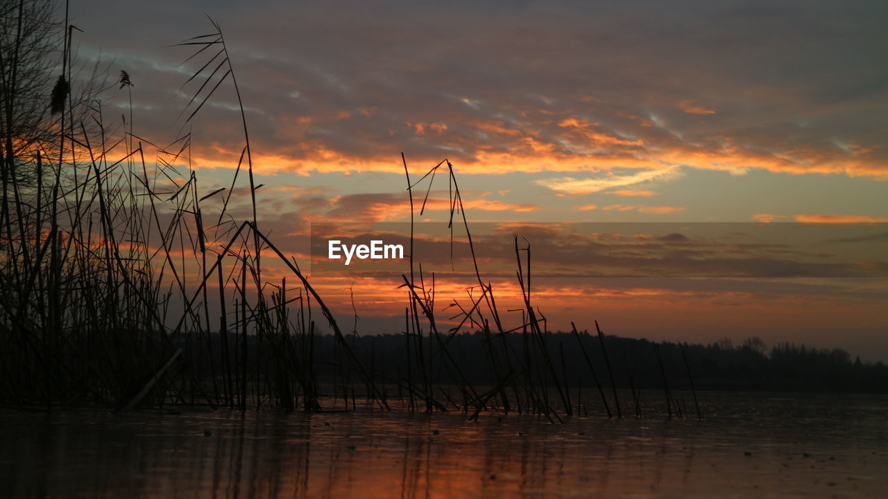 SILHOUETTE BIRDS ON LAKE AGAINST SKY AT SUNSET