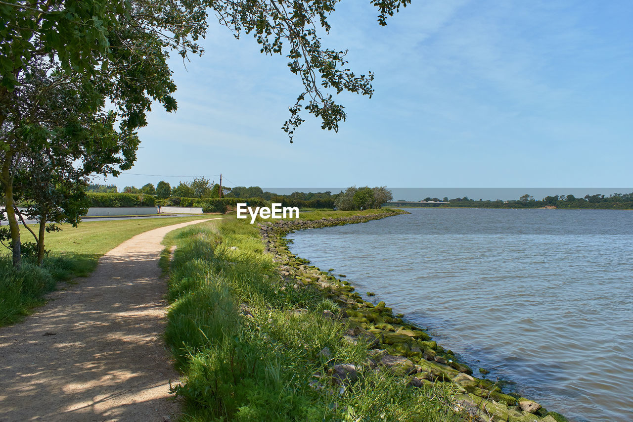 SCENIC VIEW OF RIVER BY TREES AGAINST SKY