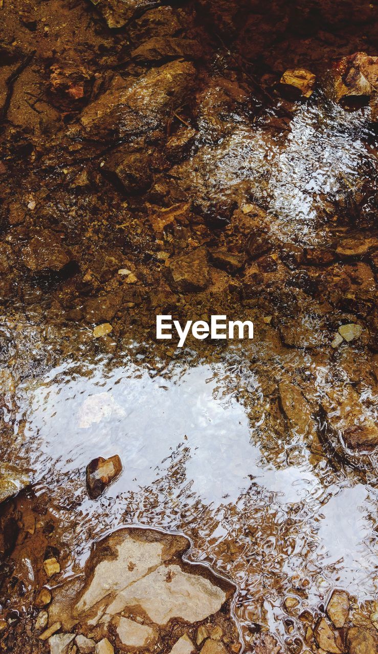 High angle view of wet rocks in water