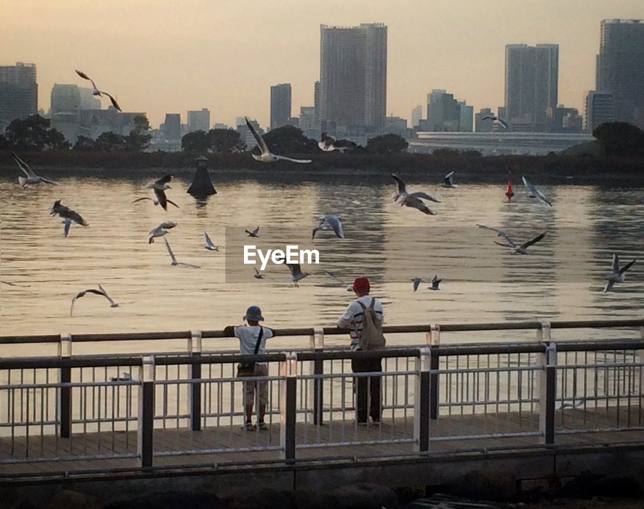 FLOCK OF BIRDS ON BRIDGE IN CITY