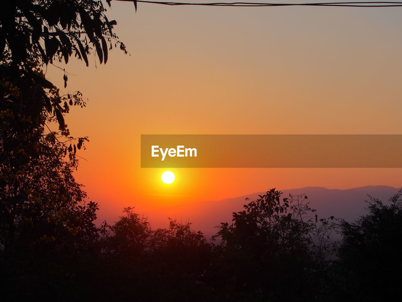 SILHOUETTE TREES AGAINST ROMANTIC SKY AT SUNSET