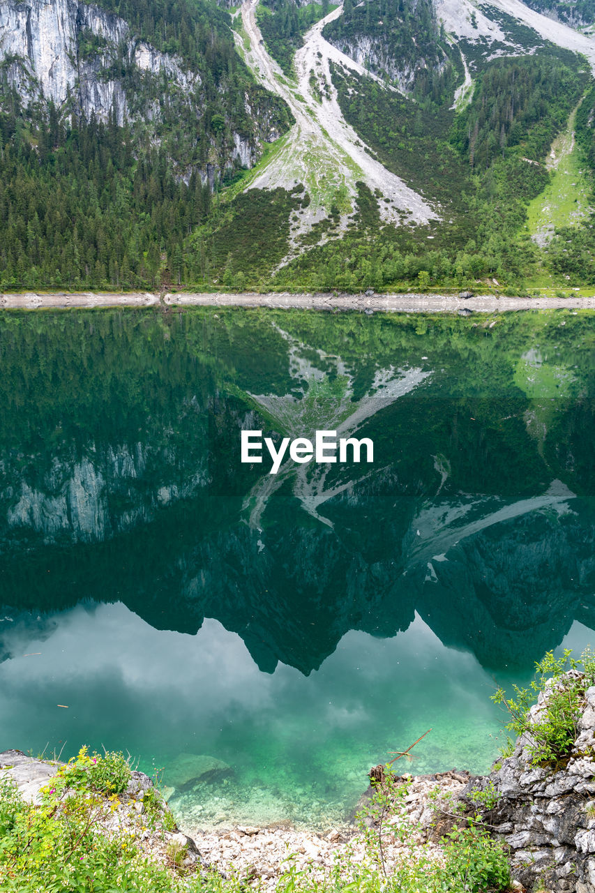 SCENIC VIEW OF LAKE AMIDST TREES