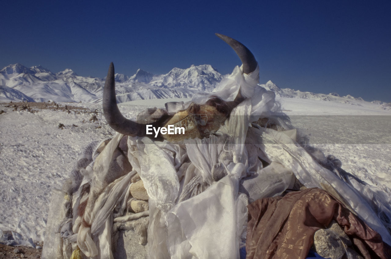 Horns with rocks and fabric on snow covered landscape against clear blue sky