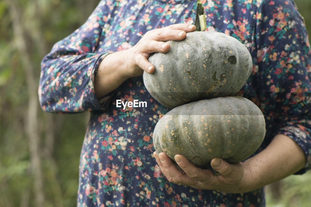 Close-up of hands holding two pumpkins in outdoor area