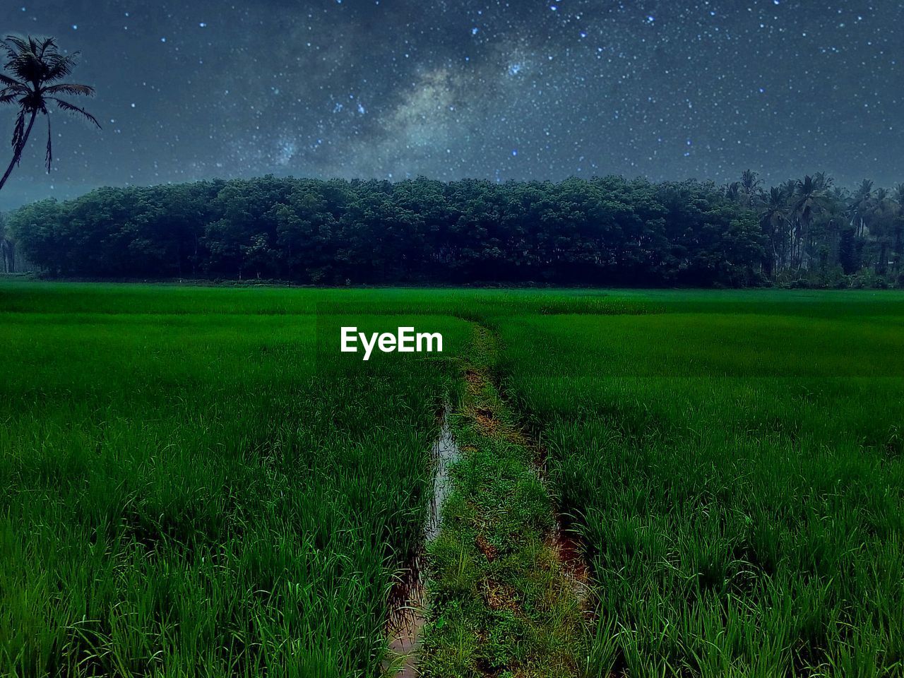 Scenic view of grassy field against sky at dusk