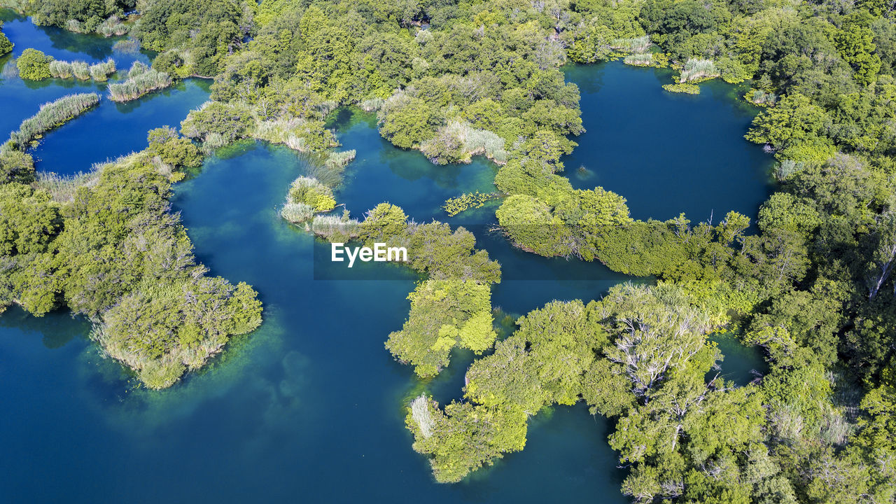 High angle view of plants by lake