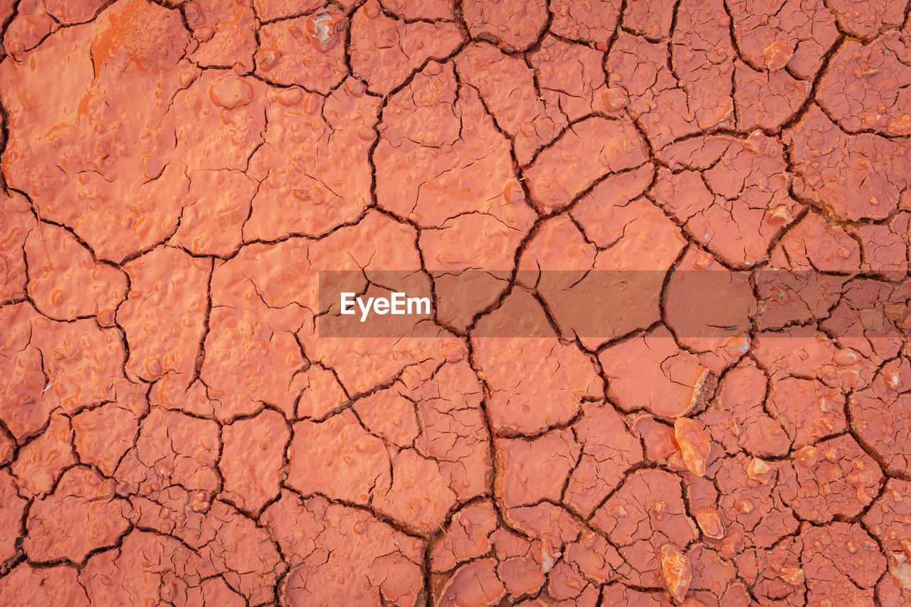 Surface of the land is cracked. crack soil ground texture. looks down on the cracked soil surface. 