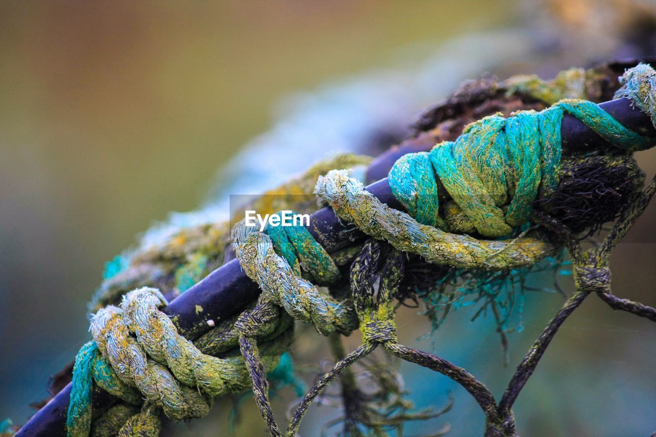 Close-up of tied rope