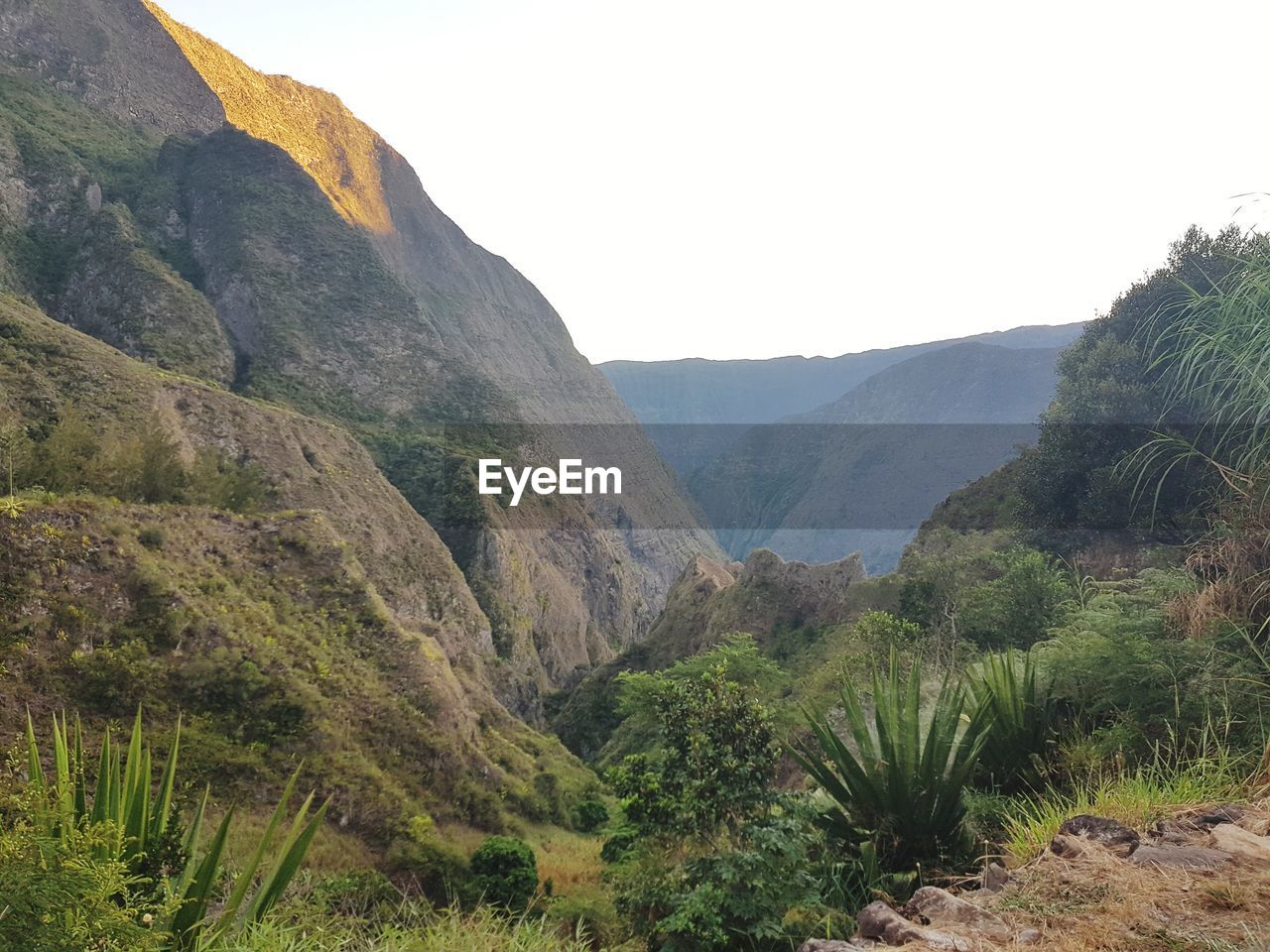 SCENIC VIEW OF MOUNTAIN AGAINST SKY