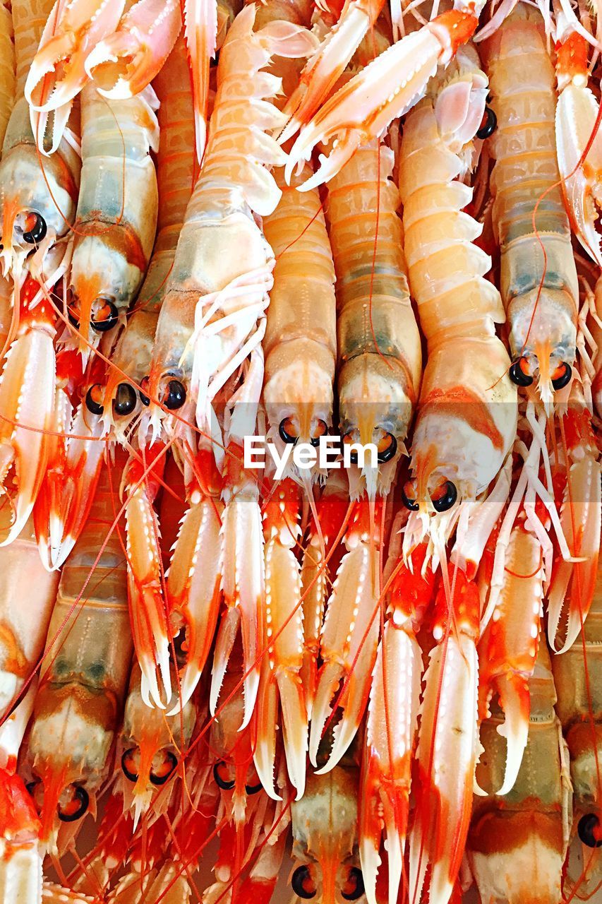 High angle view of shrimps for sale in market