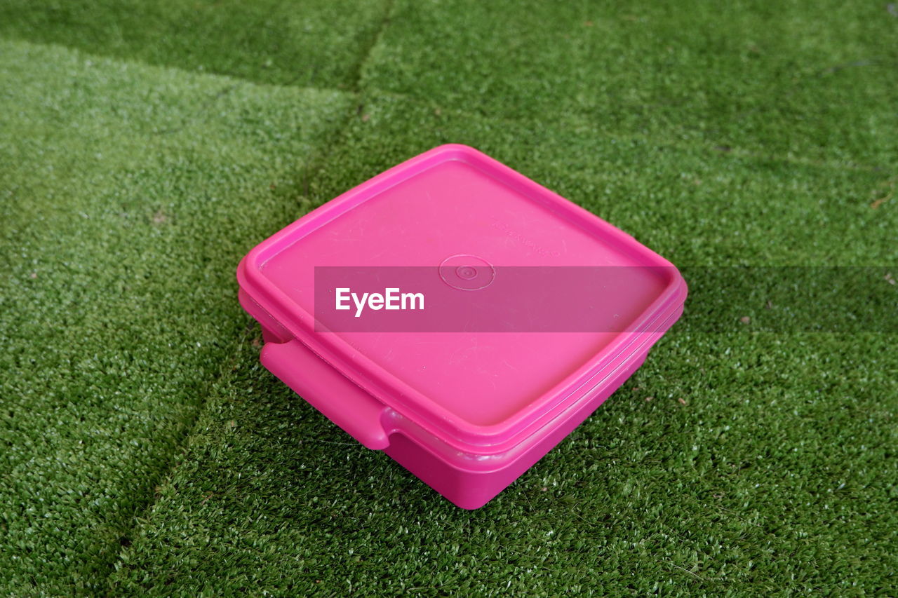 HIGH ANGLE VIEW OF PINK TOY ON GRASS