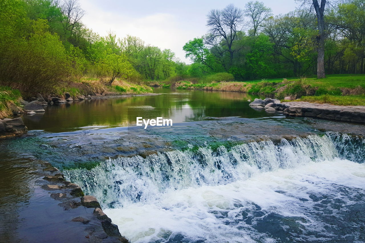 River flowing through forest