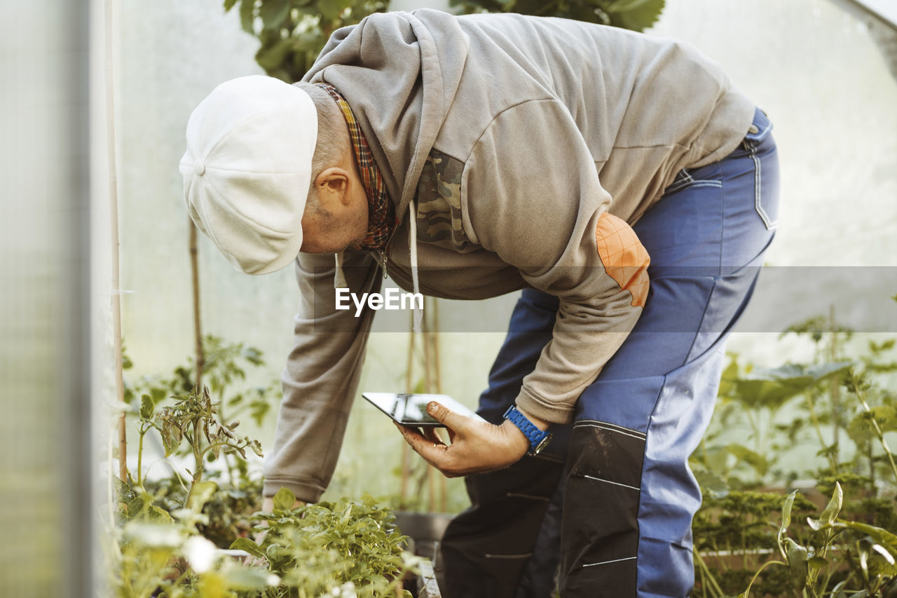 Mature gay man holding digital tablet while examining plants in greenhouse