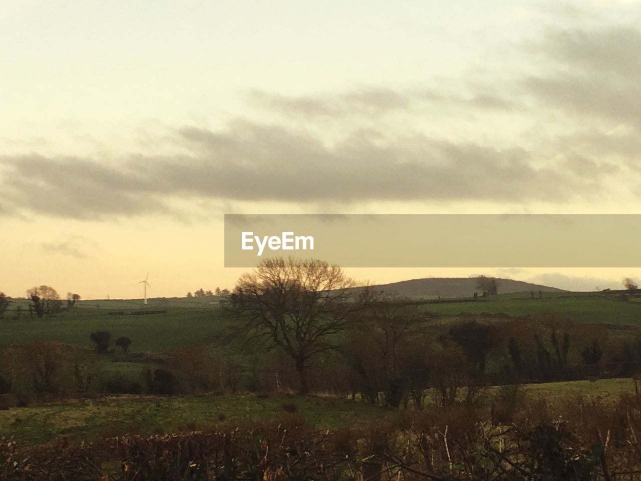 FIELD AGAINST SKY