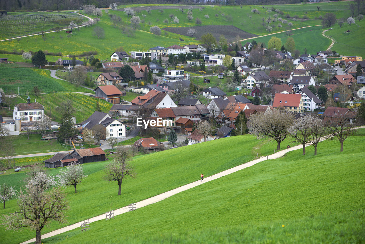 SCENIC VIEW OF VILLAGE BY HOUSES