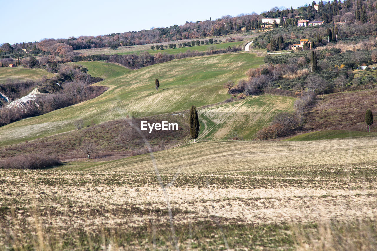 SCENIC VIEW OF FARM