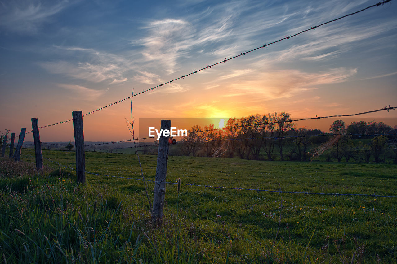 Scenic view of field against sky during sunset