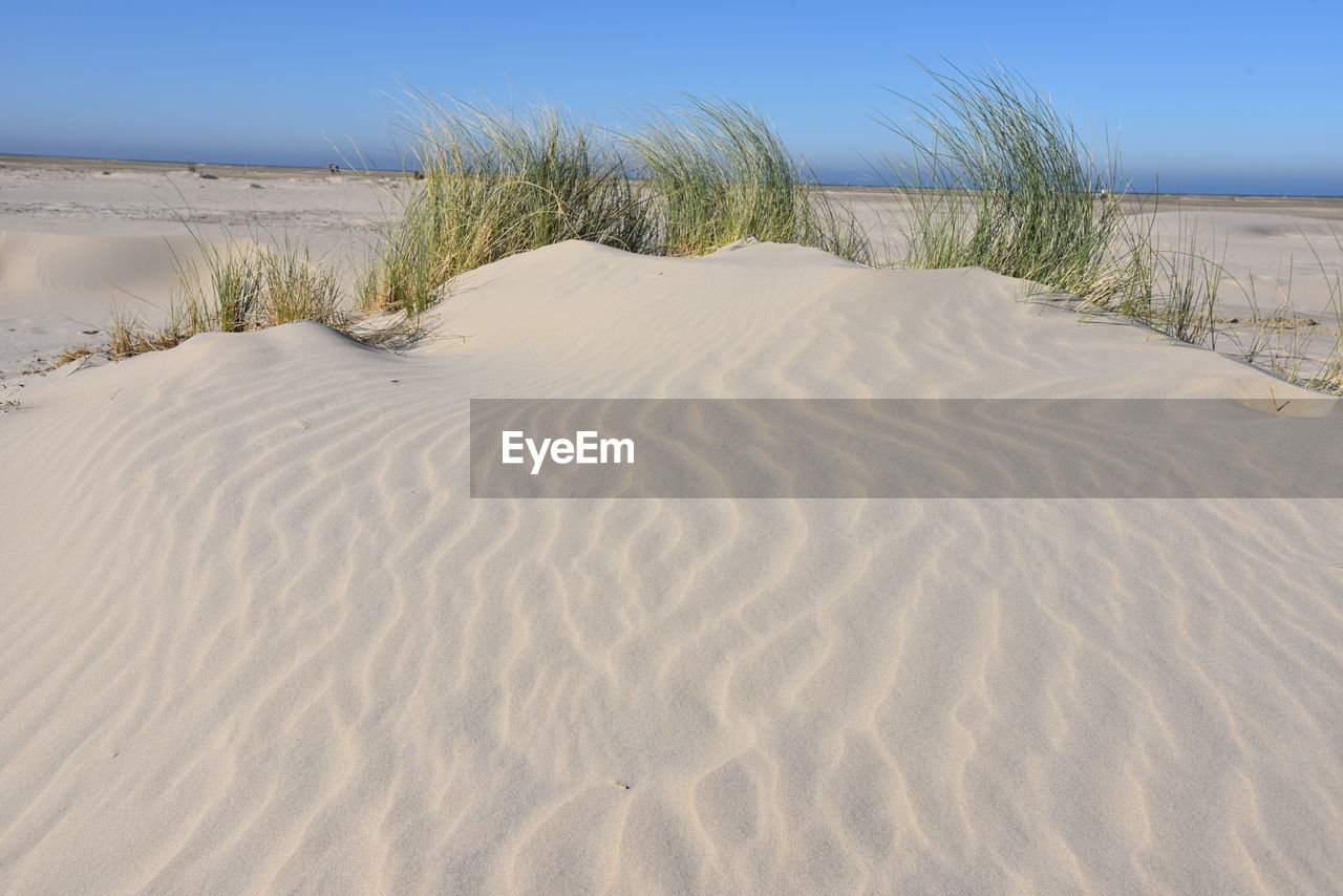 Sand dune on beach against clear sky