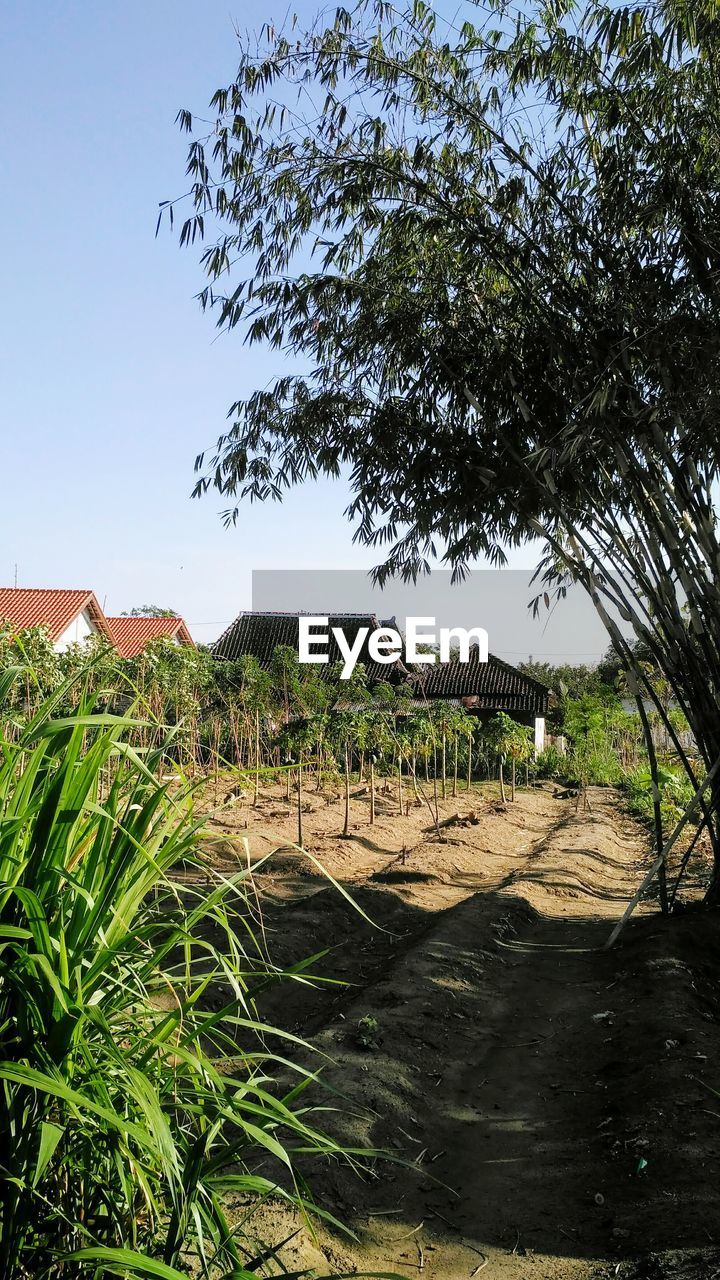 SCENIC VIEW OF FARM AGAINST SKY