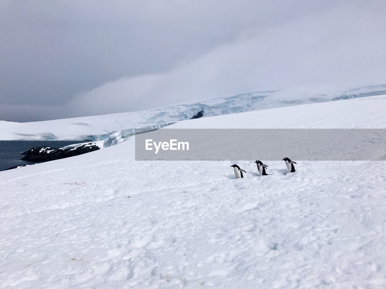 Scenic view of landscape against sky during winter