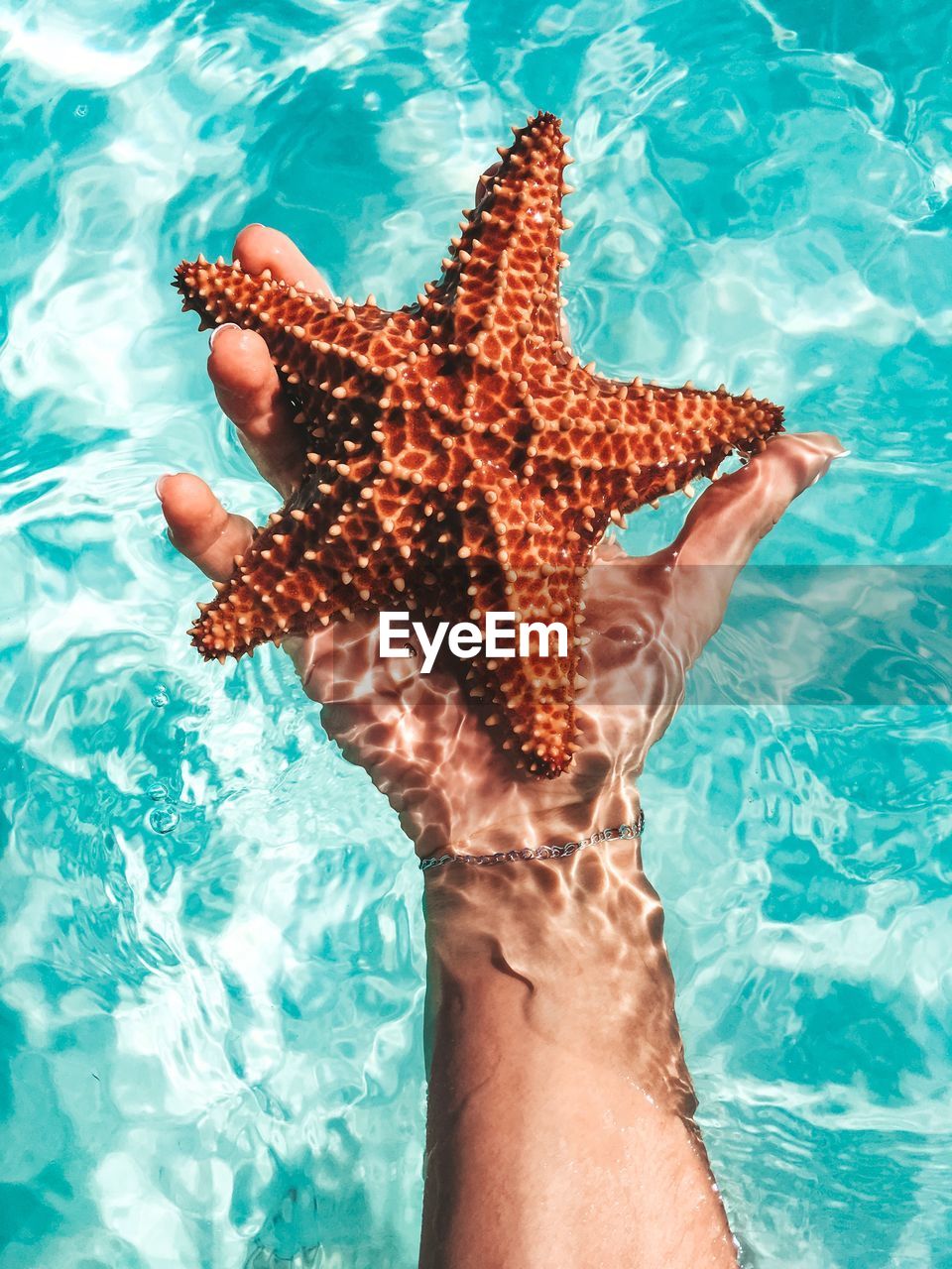 LOW SECTION OF MAN SWIMMING IN SEA