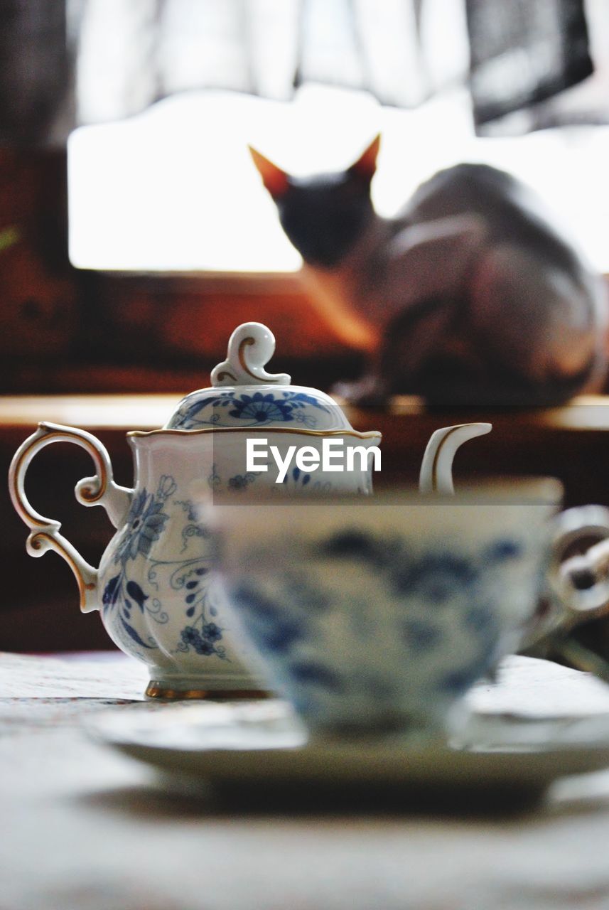 Close-up of teapot and cup on table against cat sitting at window sill