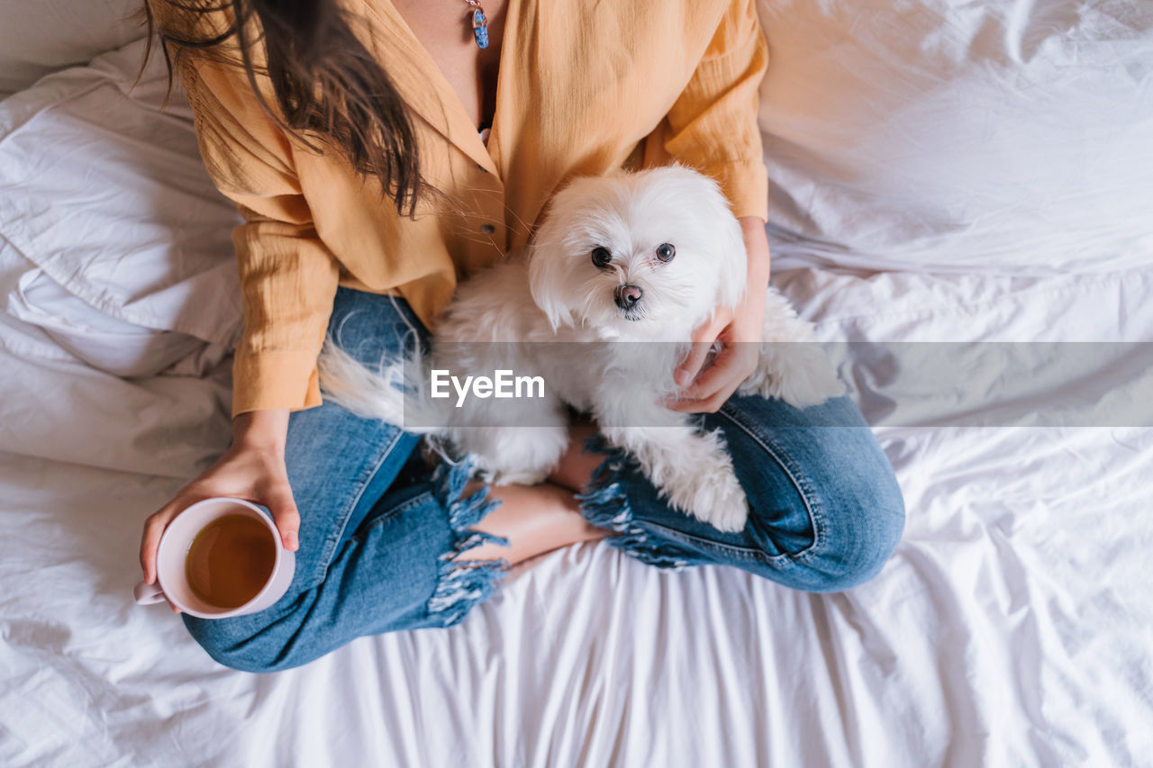 High angle view of dog relaxing with woman on bed at home