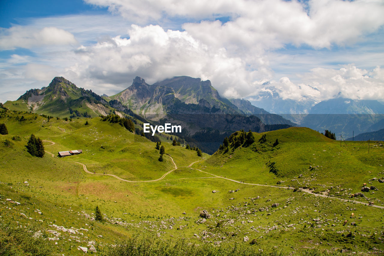 SCENIC VIEW OF GREEN LANDSCAPE AND MOUNTAINS AGAINST SKY