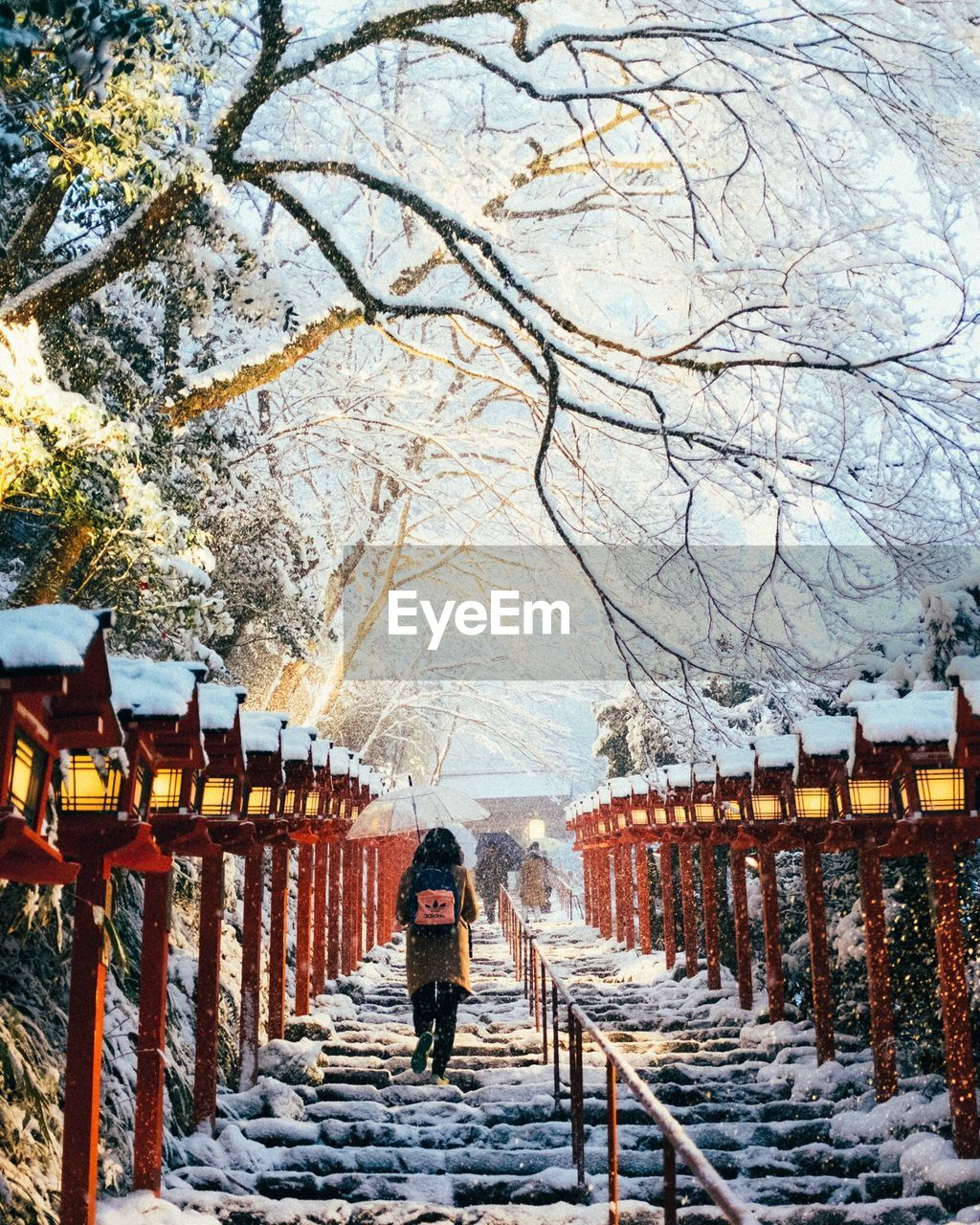 PEOPLE WALKING ON SNOW COVERED TREES