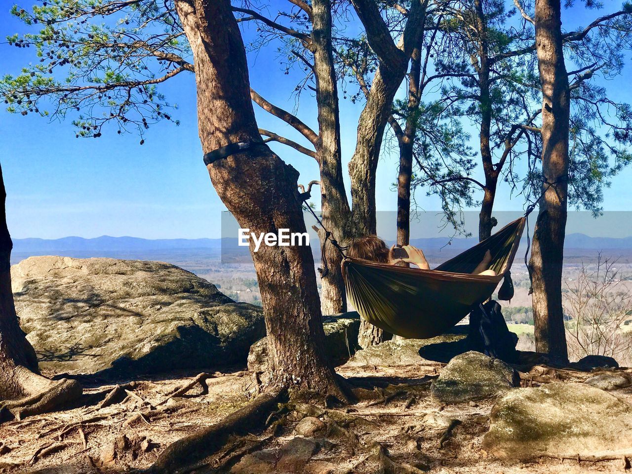 CACTUS ON TREE TRUNK AGAINST SKY