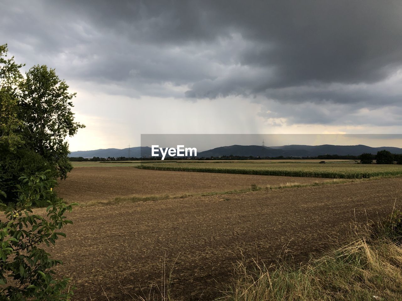 FIELD AGAINST SKY